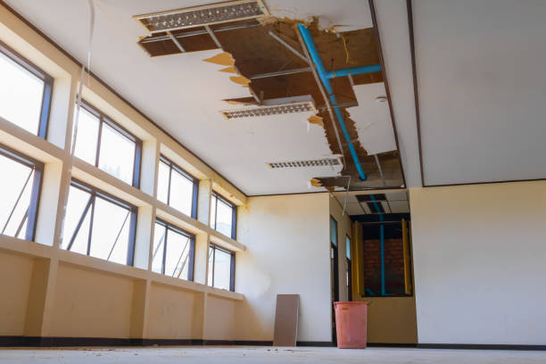 Best Basement water damage restoration  in Preakness, NJ
