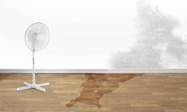 Professional Water damage restoration in Preakness, NJ