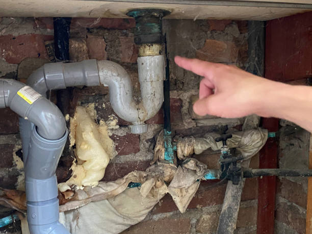 Best Mold removal after water damage  in Preakness, NJ